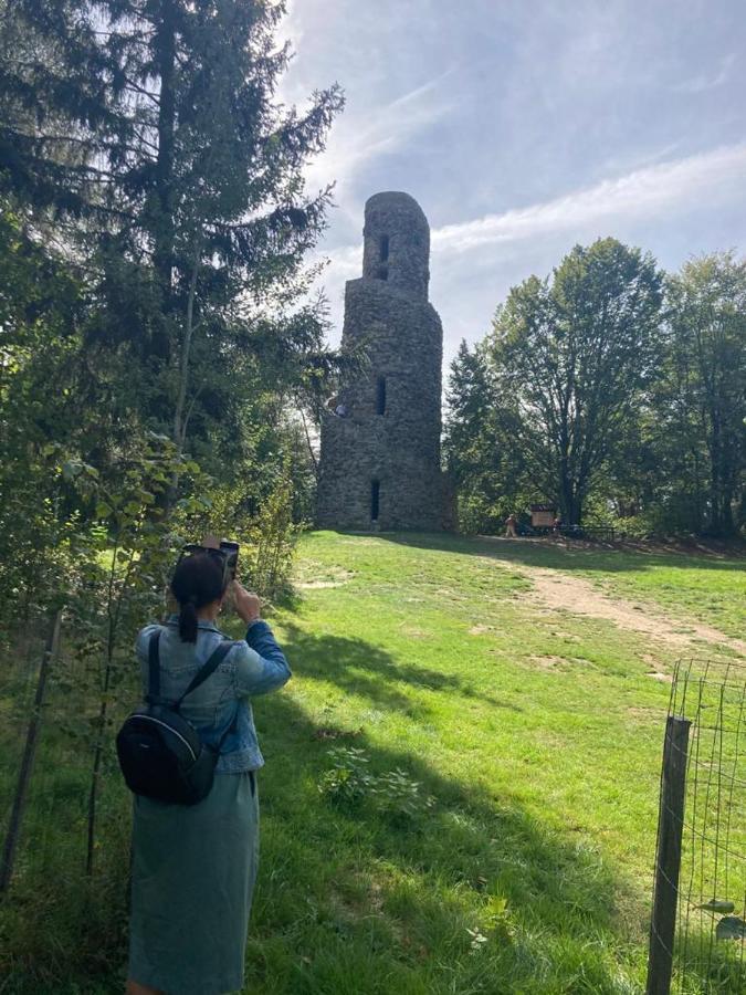 U Pejska A Kocicky Affittacamere Mariánské Lázně